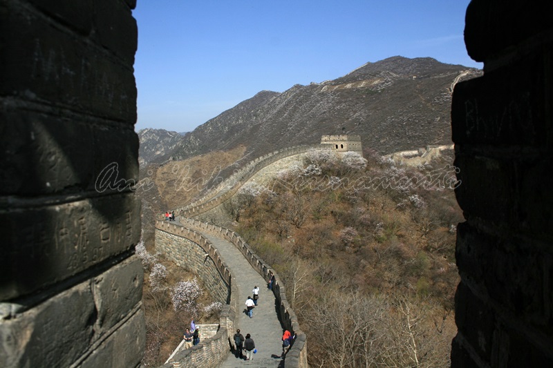 great wall, china